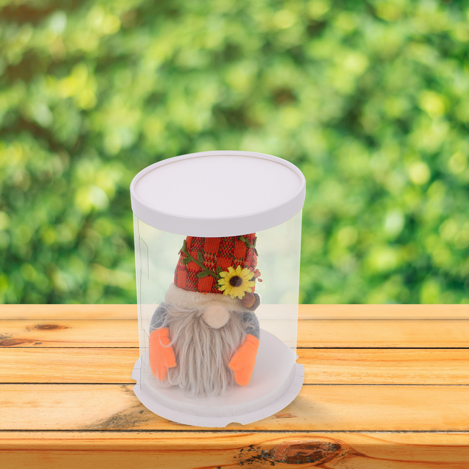 Przezroczysta pudełko ekspozyc – Display Case Acrylic recenzja i cena